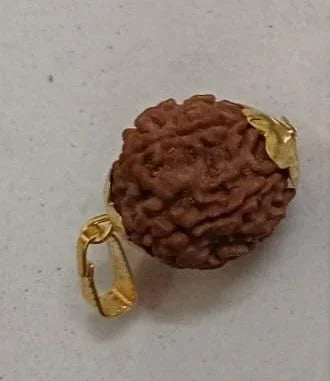 7 Mukhi Rudraksha with Cap - Original Certified Bead for Wealth & Success (200g) - RamKart