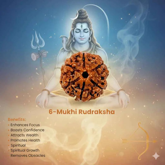 6 Mukhi Rudraksha – Original & Certified | RamKart