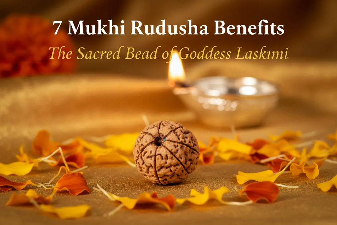 7 Mukhi Rudraksha Benefits | RamKart