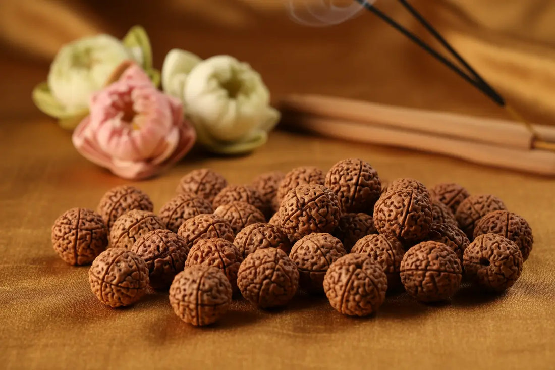 Authentic Rudraksha beads for career growth and financial success — 5 Mukhi, 6 Mukhi and 7 Mukhi Rudraksha collection at RamKart