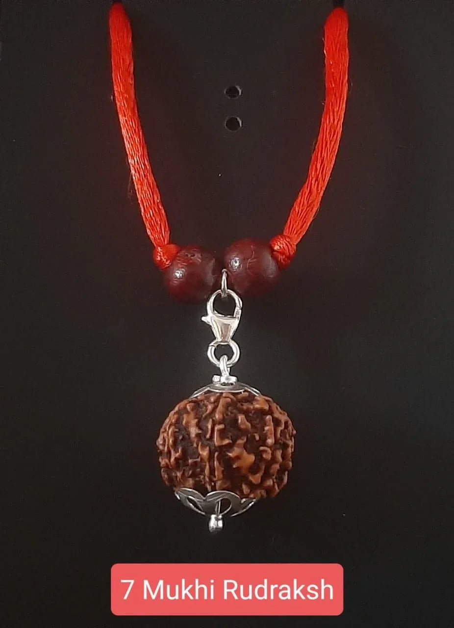 7 Mukhi Rudraksha Silver Capped Pendant - Wealth & Prosperity (100g) - RamKart