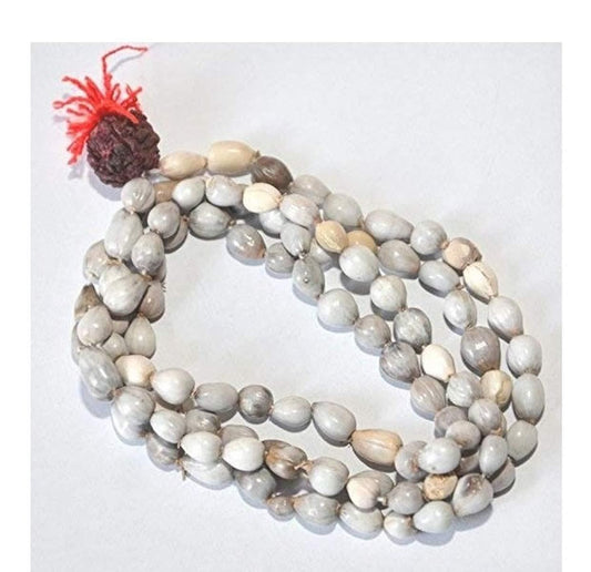 Original Vaijayanti Mala with Rudraksha & Moira Stone - RamKart
