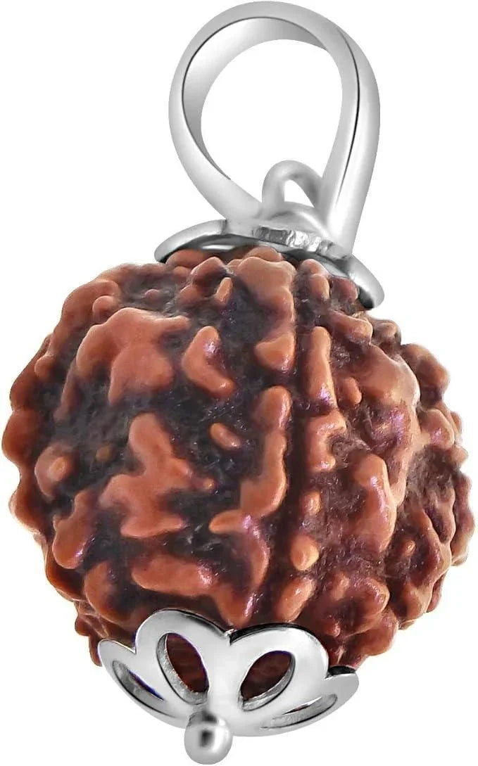 Original 5 Mukhi Rudraksha Bead | Certified Authentic for Health, Peace & Meditation - RamKart