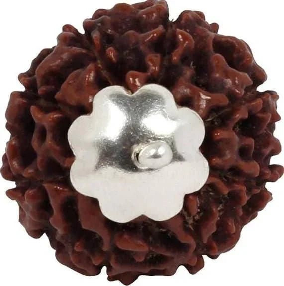 7 Mukhi Rudraksha Silver Capped Pendant - Wealth & Prosperity (100g) - RamKart