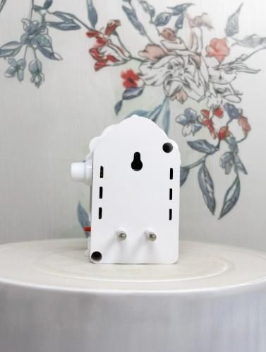 5 in 1 Mantra Device with Lamp - Shri Premanand Ji Voice (400g) - RamKart