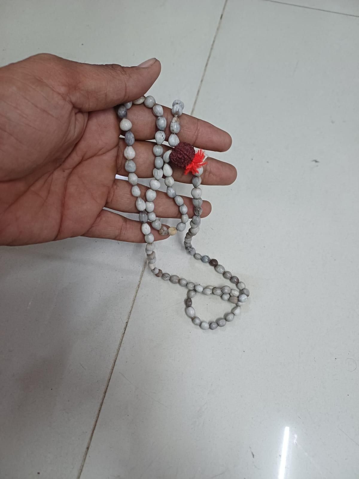 Original Vaijayanti Mala with Rudraksha & Moira Stone - RamKart