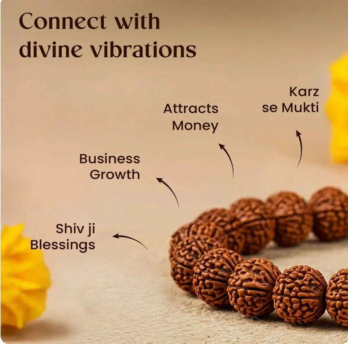 Close-up of authentic 7 Mukhi Rudraksha beads used in wealth bracelet