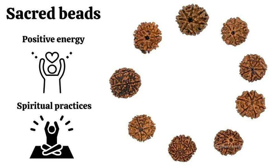 7 mukhi rudraksha - RamKart