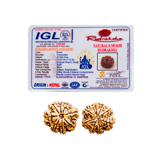Original 8 Mukhi Rudraksha from Nepal – Lab Certified Rudraksha Mala Bead