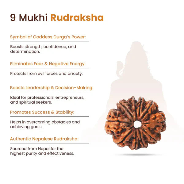 9 Mukhi Rudraksha key benefits – Goddess Durga symbol, eliminates fear, boosts leadership, authentic Nepalese bead