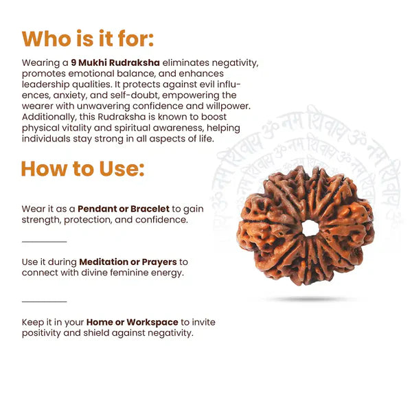 9 Mukhi Rudraksha benefits infographic – who it is for and how to use as pendant, bracelet or during meditation