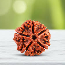 Five Face Rudraksha Online RamKart