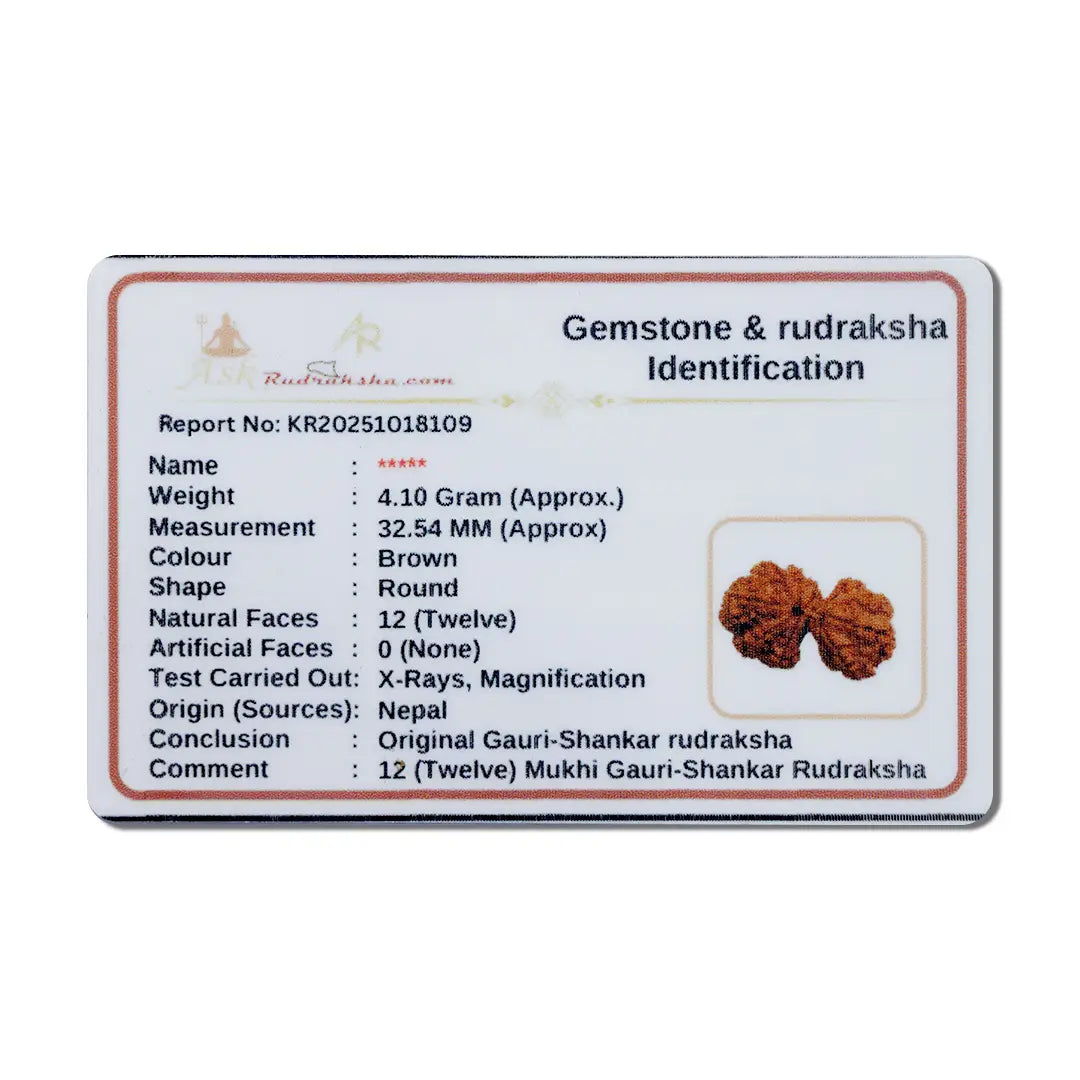 Gauri_Shankar_Rudraksha_Certificate, Ramkart each bead certificate and energized by priest.