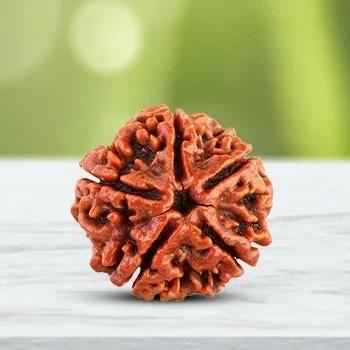 panchmukhi rudraksha mala price - Sacred Prayer Beads (200g)