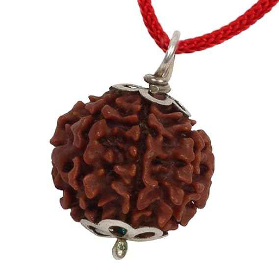Seven Mukhi Rudraksha bead Original