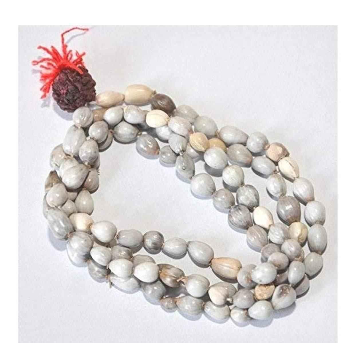 Original Vaijayanti japa Mala with Rudraksha & Moira Stone